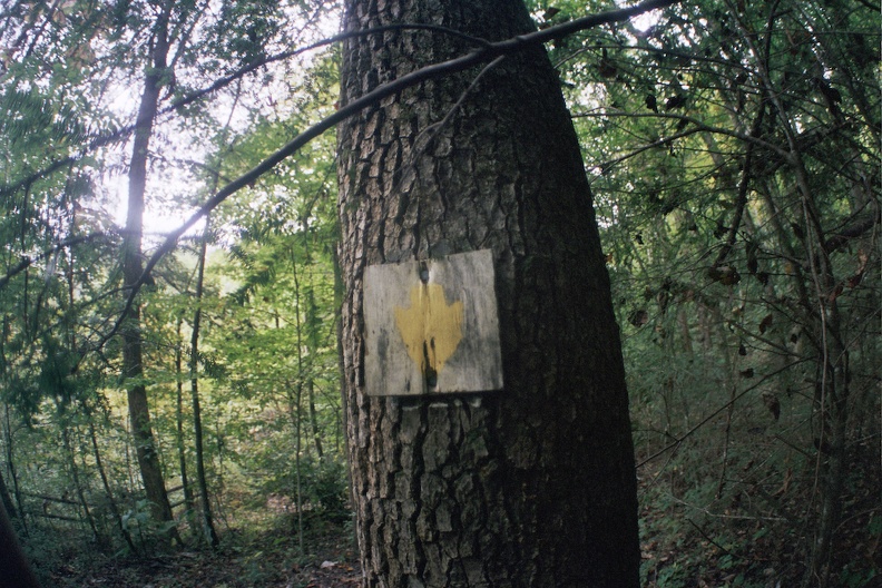Fall in the Big South Fork